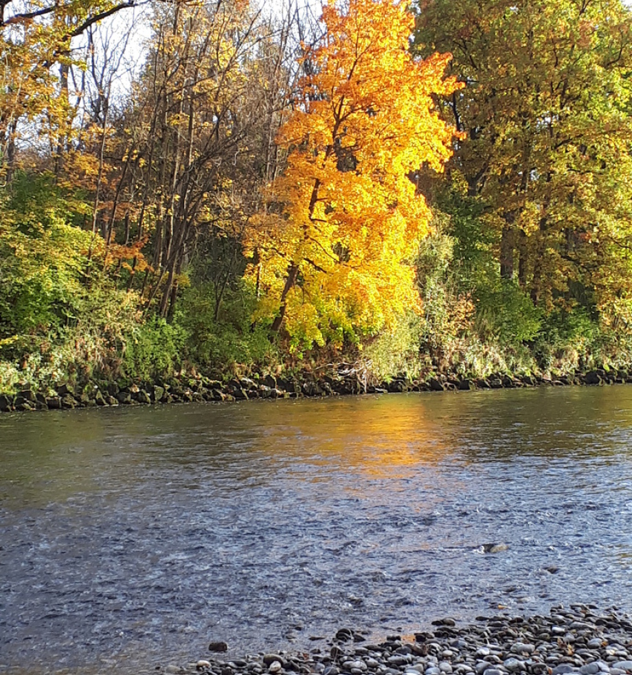 Die Natur weicht aus - was tun Sie?